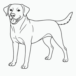 Line Art